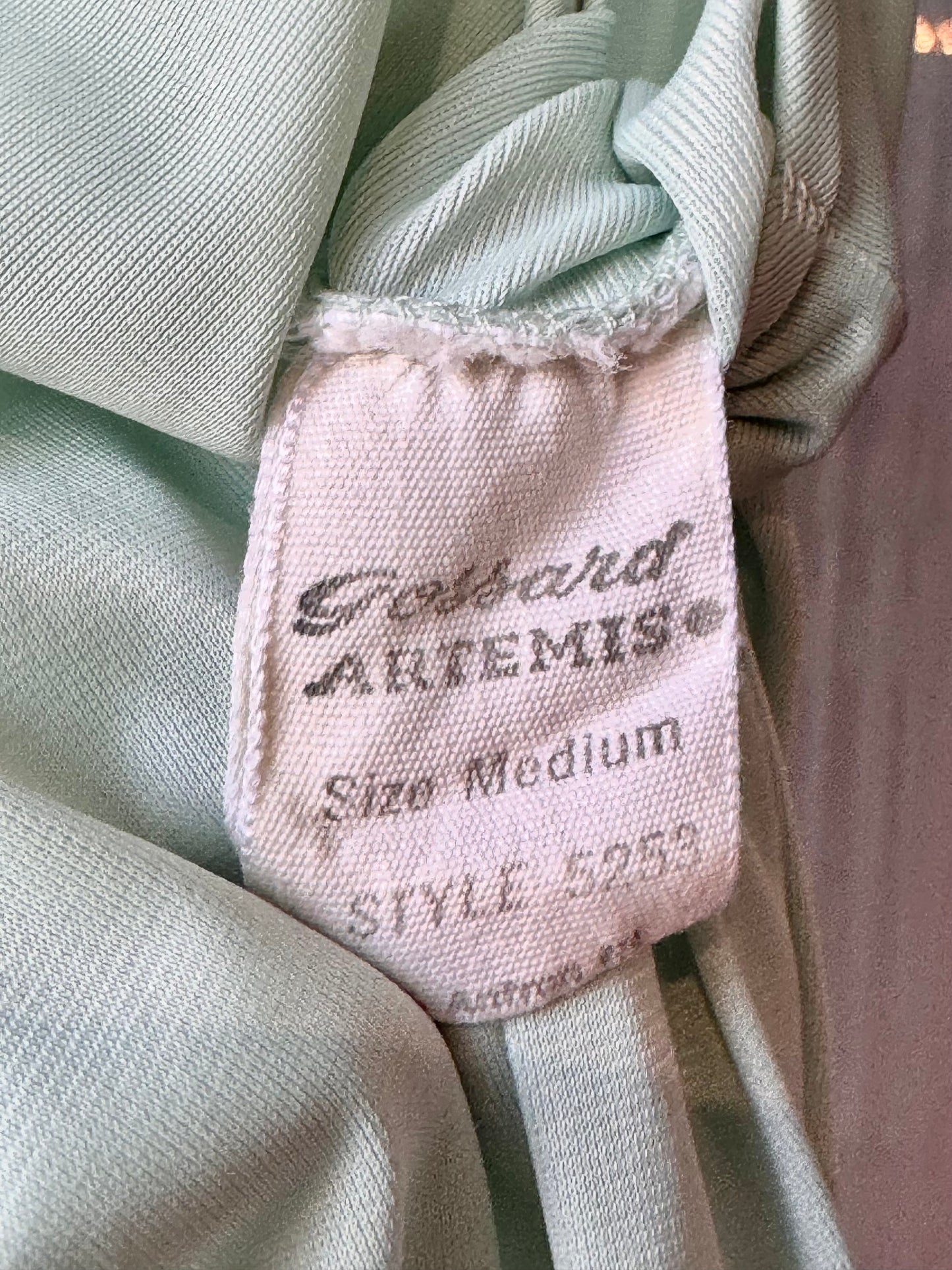 Aqua Blue Nightgown and Robe Set