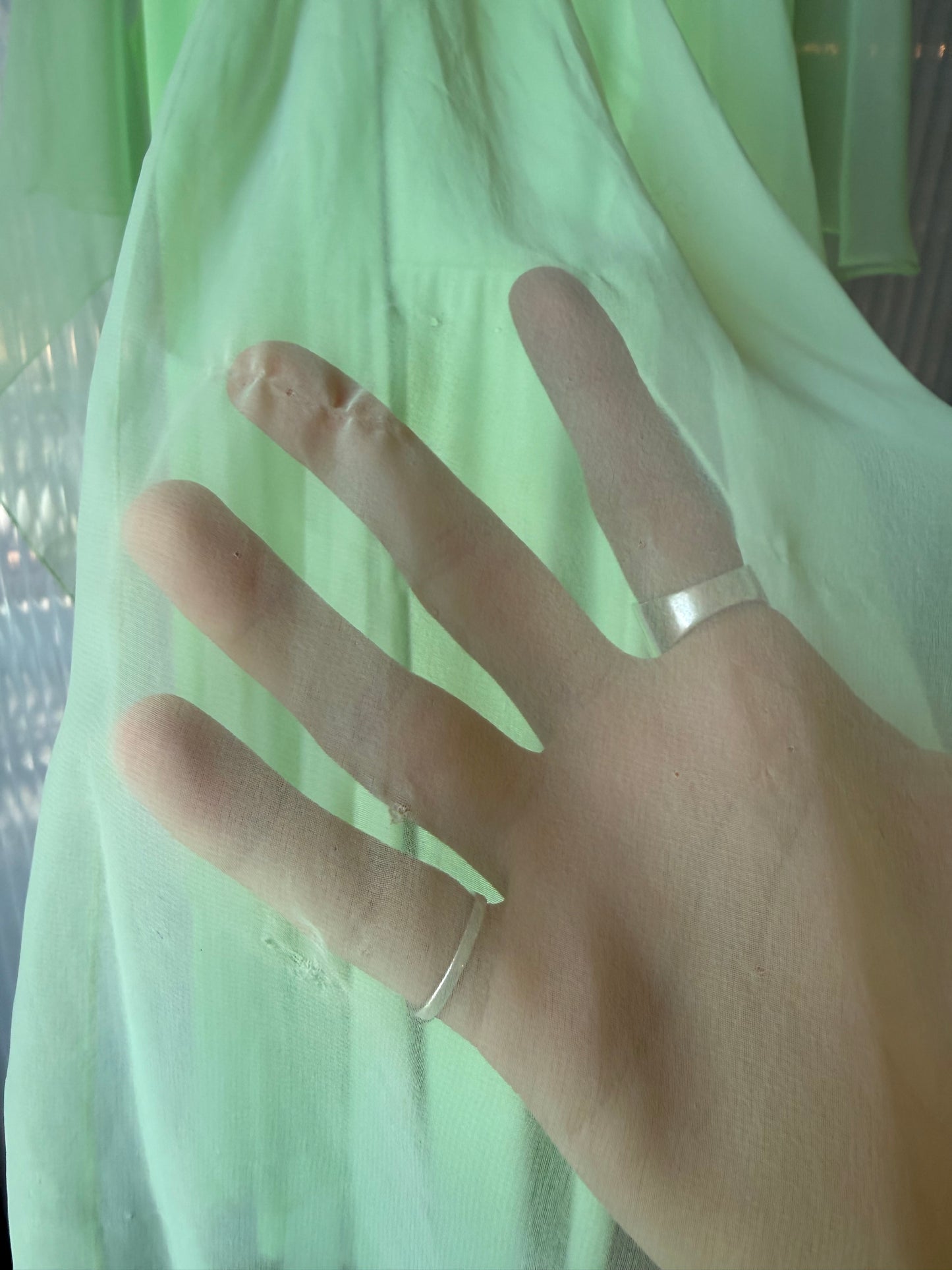 1970s Pistachio Green Gown w/ Sheer Shawl Overlay