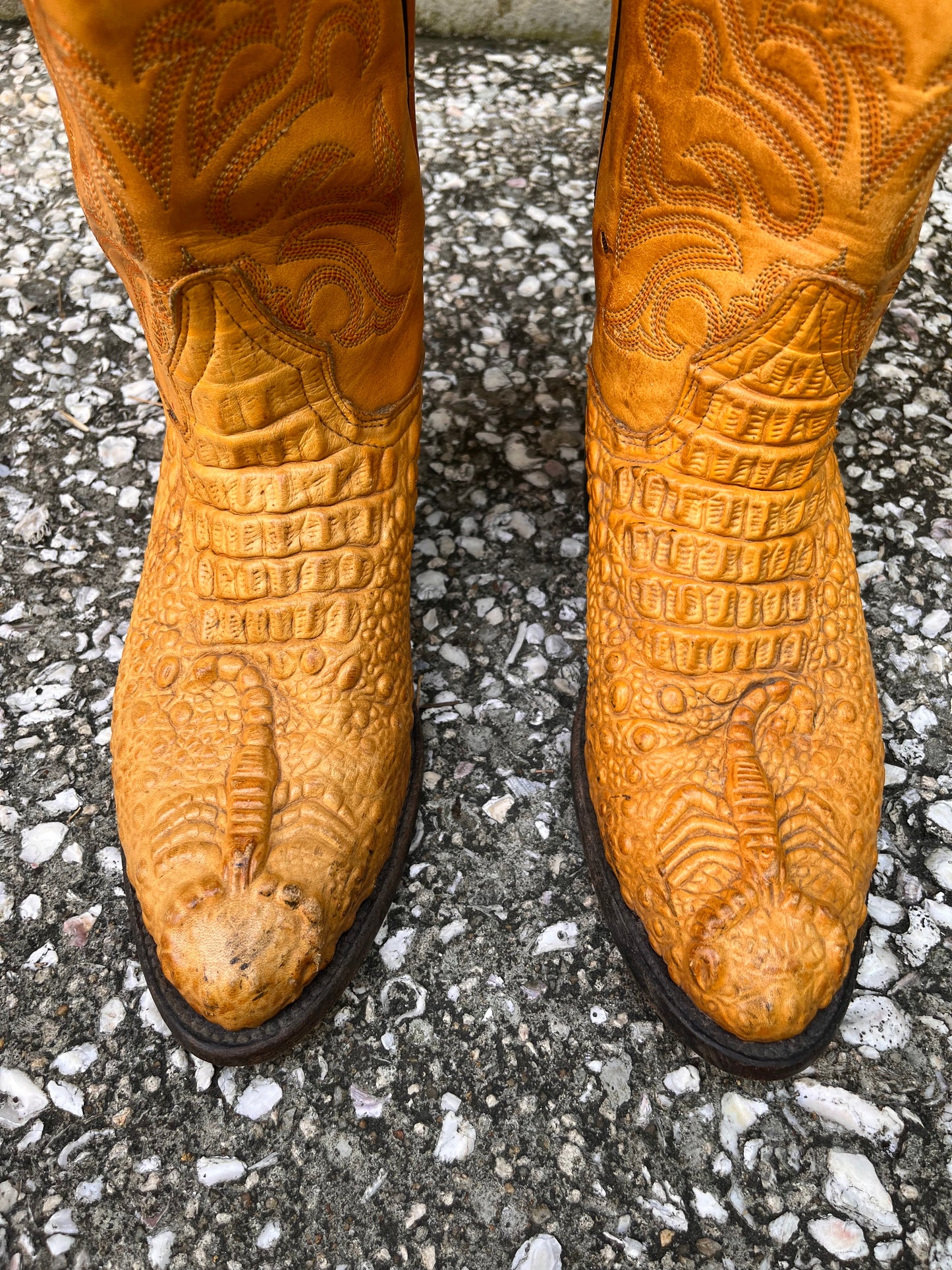 Camel-Tan Gators Boots with Embossed Scorpion
