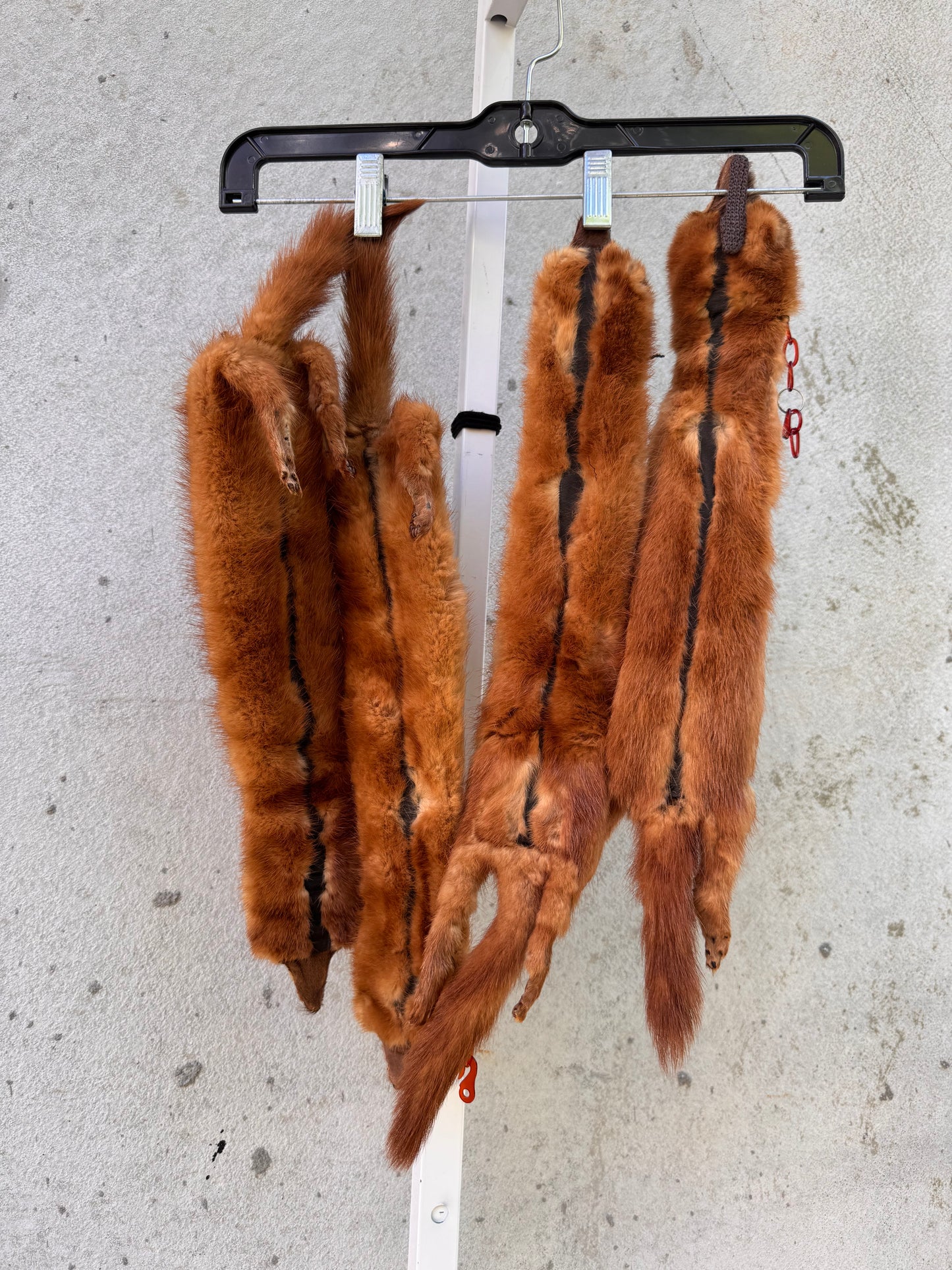 Brown Four Pelt Mink Collar
