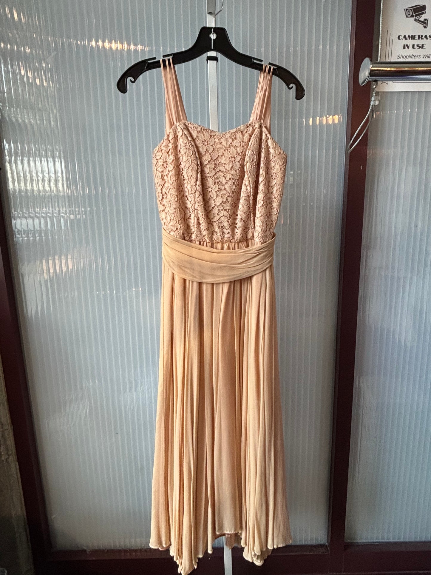 1950s Blush Lace & Accordion Pleat Dress