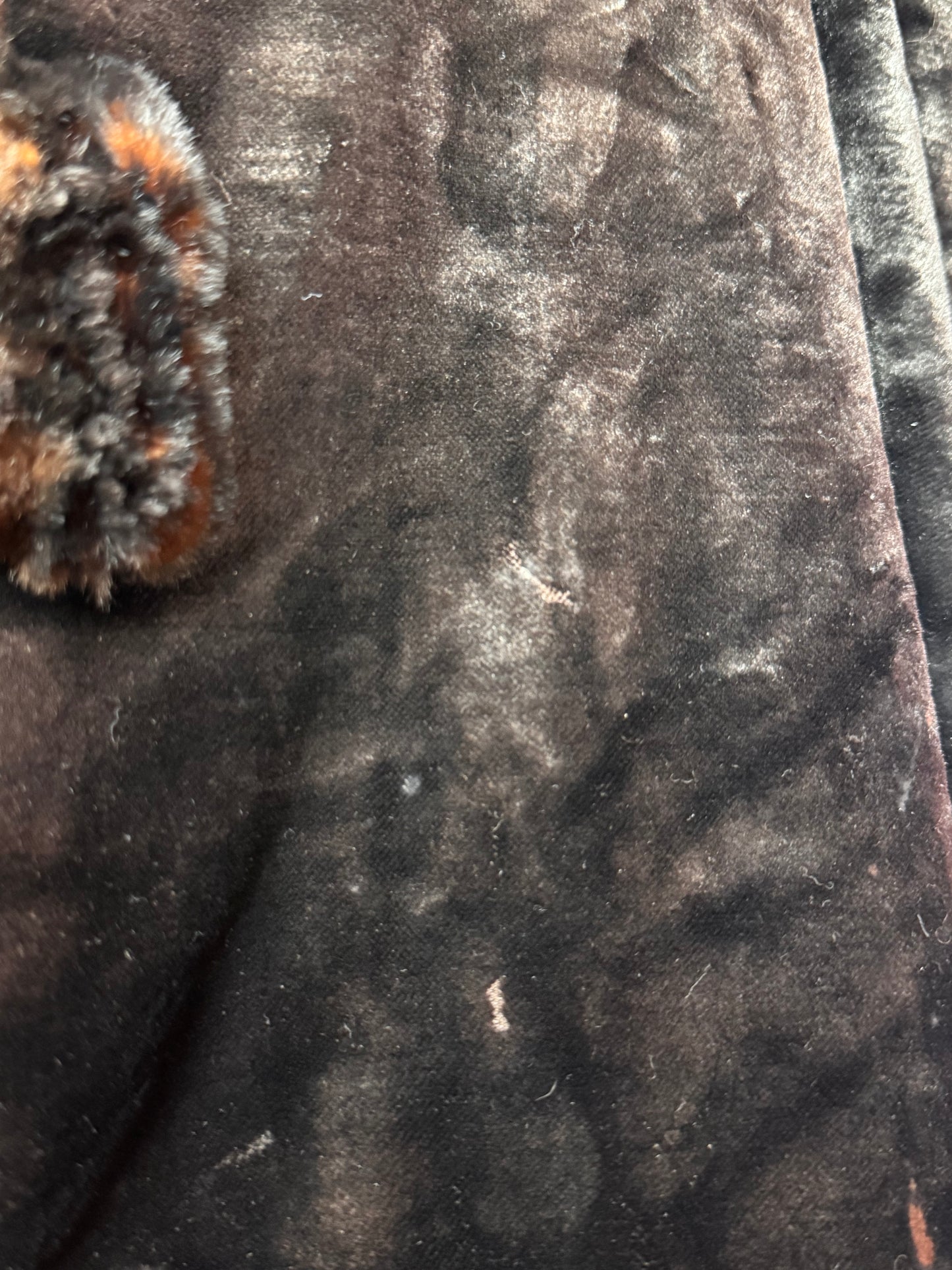 Victorian Sir Titus Salt Seal Fur Coat