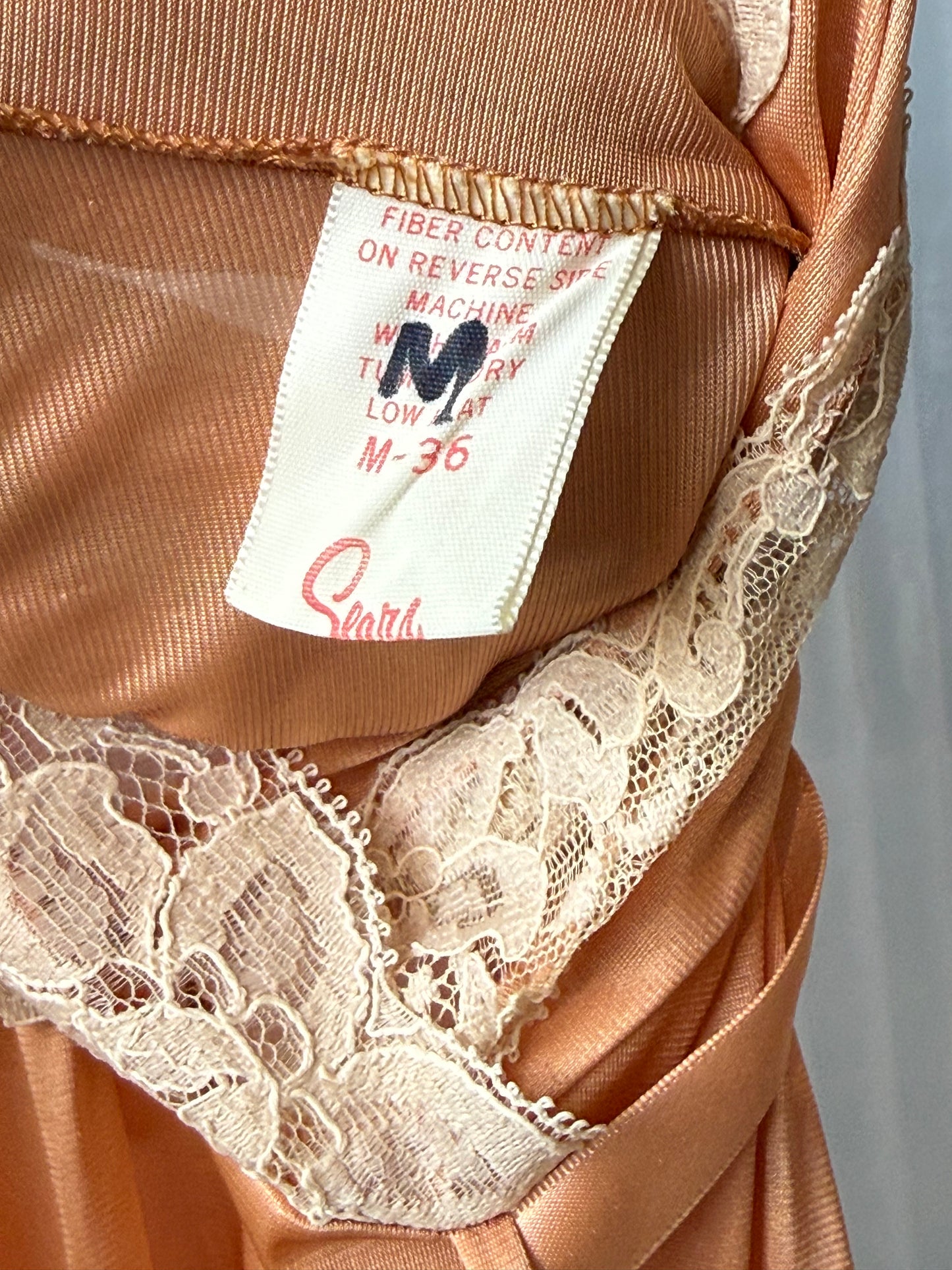 1960s Blushy Peach Long Lacy Slip Dress