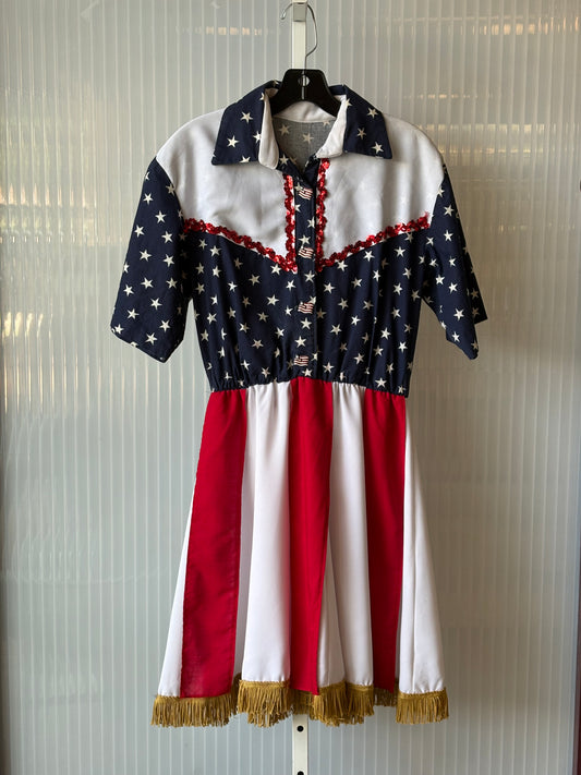 1970s Stars n' Stripes American Flag Shirtwaist Dress