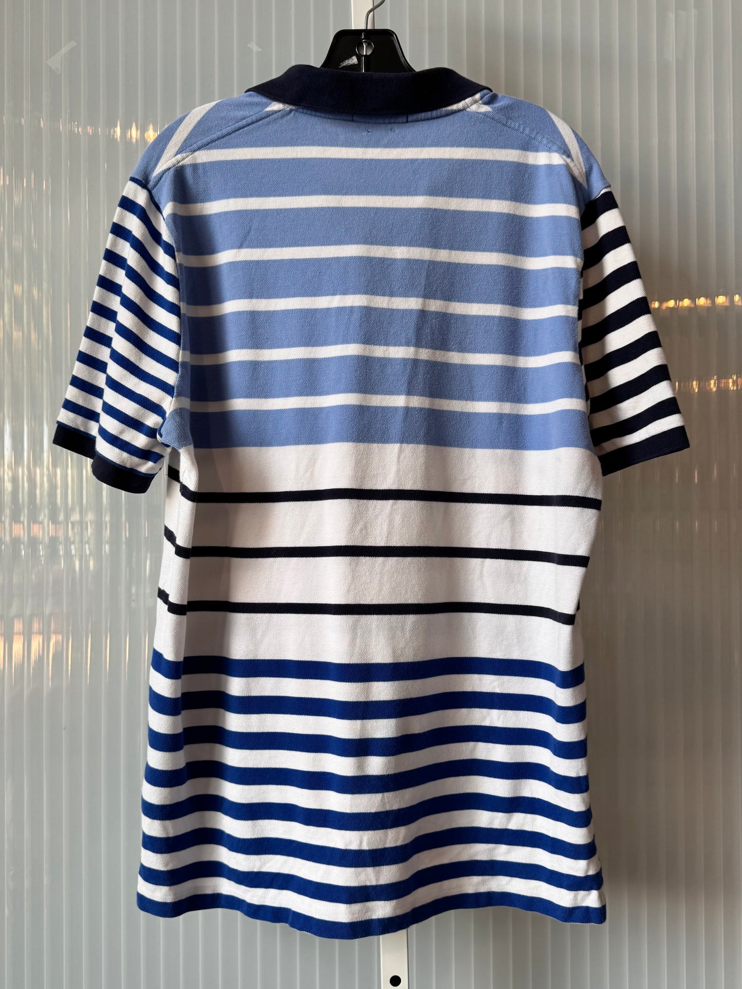 Polo Ralph Lauren Blue & White Striped Shirt