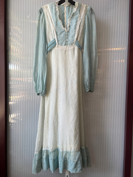 1970s Blue and White Floral Prairie Dress