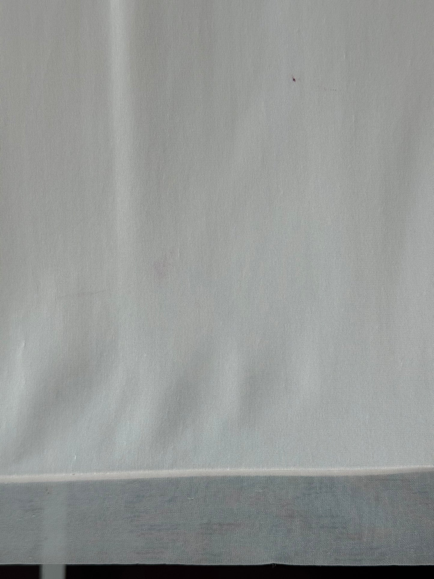 1960s Palest Pink Embroidered Sheer Top Slip Dress