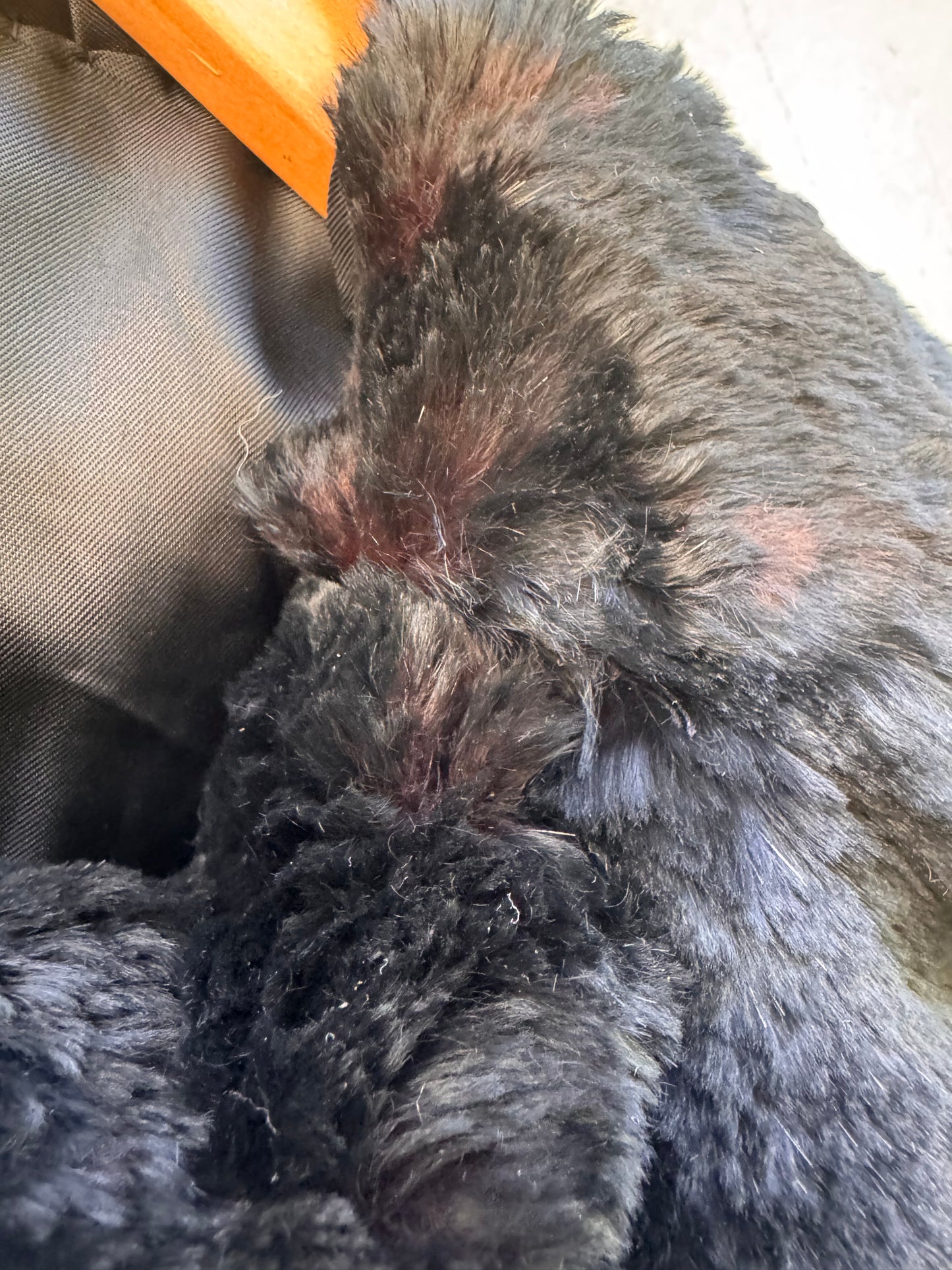 Black Seal Dyed Coney Full Length Fur Coat