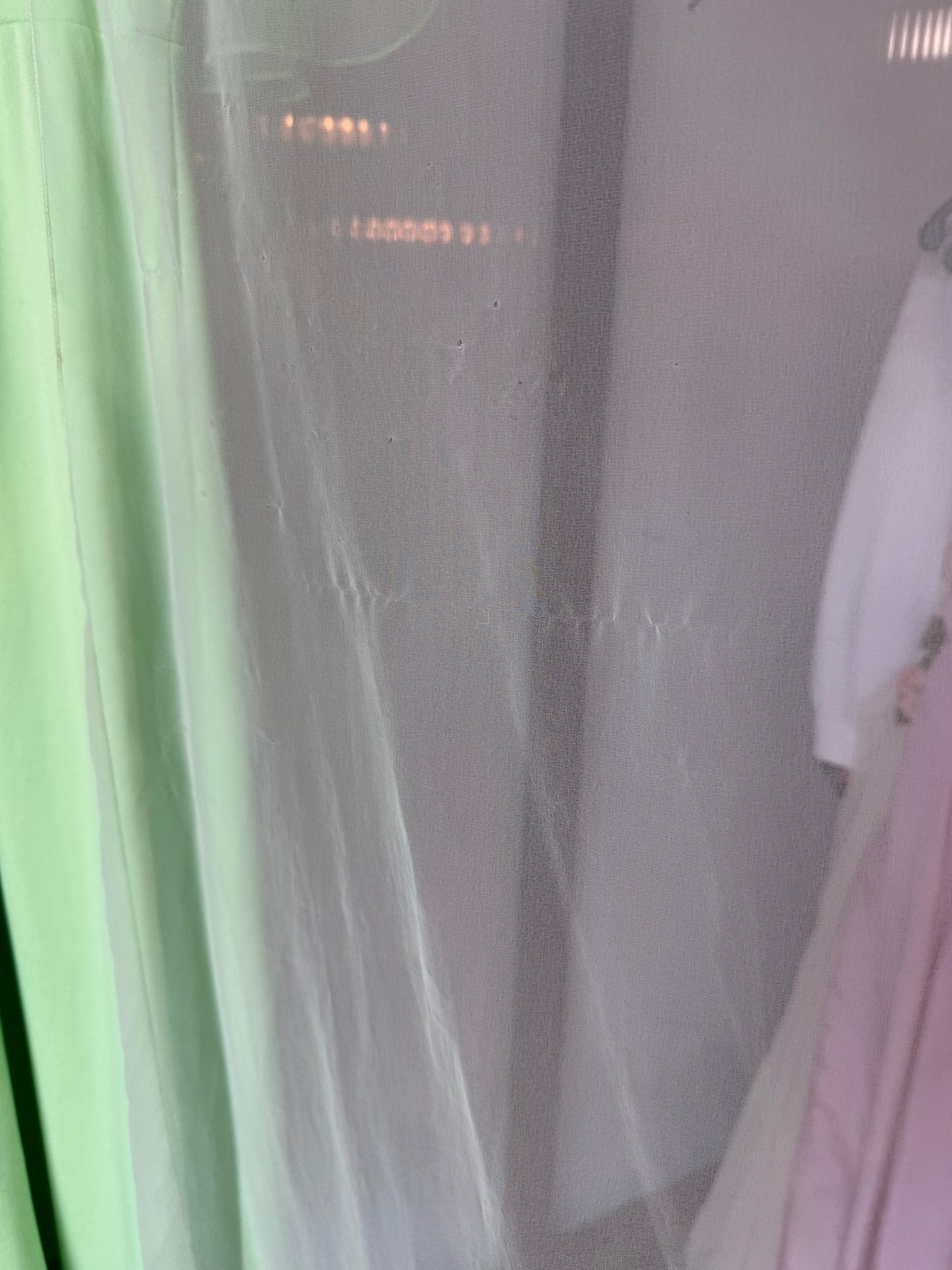 1970s Pistachio Green Gown w/ Sheer Shawl Overlay